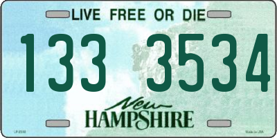 NH license plate 1333534