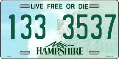 NH license plate 1333537