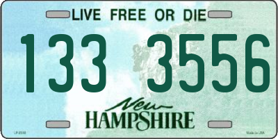 NH license plate 1333556