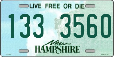 NH license plate 1333560