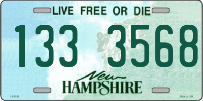 NH license plate 1333568