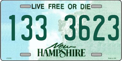 NH license plate 1333623