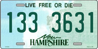 NH license plate 1333631