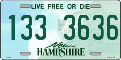 NH license plate 1333636