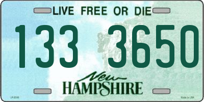 NH license plate 1333650