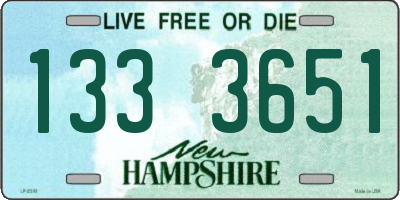 NH license plate 1333651