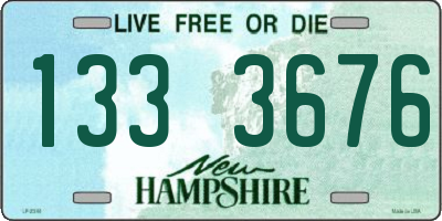 NH license plate 1333676
