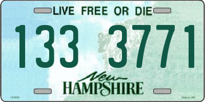 NH license plate 1333771