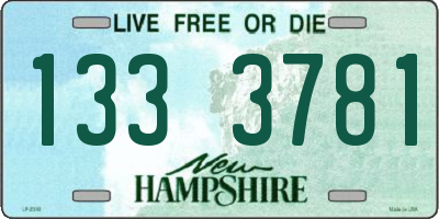 NH license plate 1333781