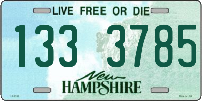 NH license plate 1333785