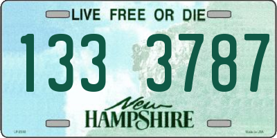 NH license plate 1333787