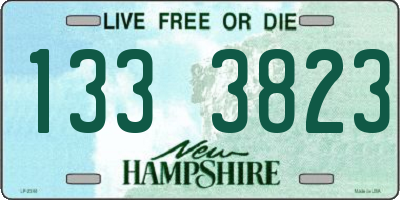 NH license plate 1333823
