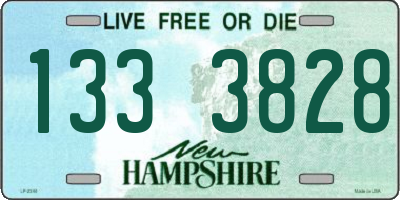NH license plate 1333828