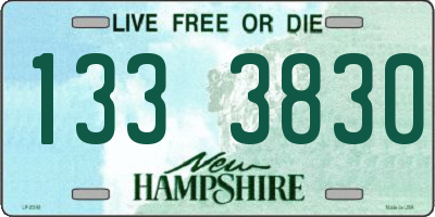 NH license plate 1333830