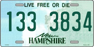 NH license plate 1333834