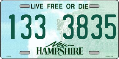 NH license plate 1333835