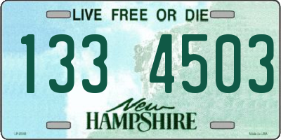 NH license plate 1334503