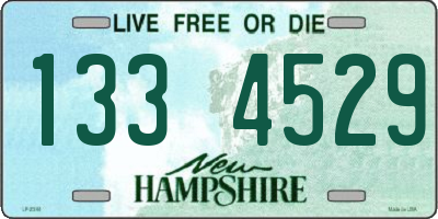 NH license plate 1334529