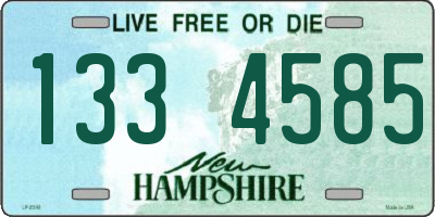 NH license plate 1334585