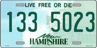 NH license plate 1335023