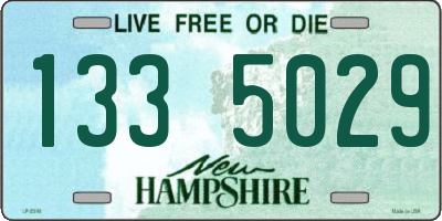 NH license plate 1335029