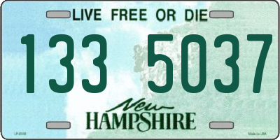 NH license plate 1335037