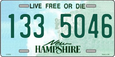 NH license plate 1335046