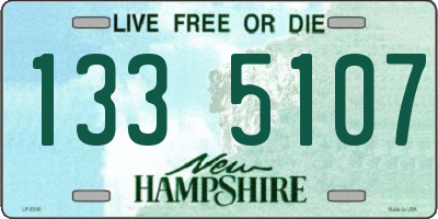 NH license plate 1335107