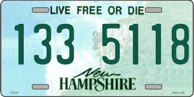 NH license plate 1335118