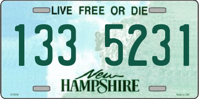NH license plate 1335231