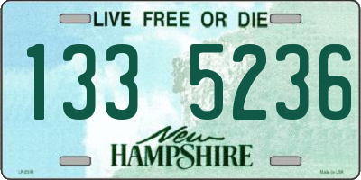 NH license plate 1335236
