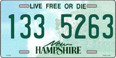 NH license plate 1335263