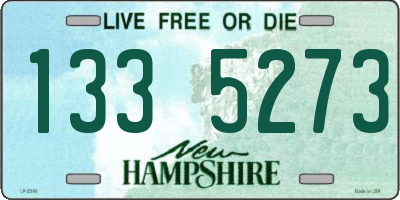 NH license plate 1335273