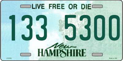NH license plate 1335300