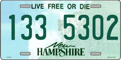 NH license plate 1335302