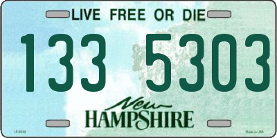 NH license plate 1335303