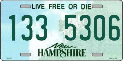 NH license plate 1335306