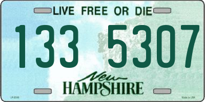 NH license plate 1335307