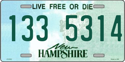 NH license plate 1335314