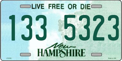 NH license plate 1335323