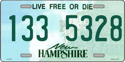 NH license plate 1335328