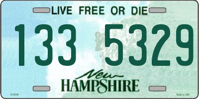 NH license plate 1335329