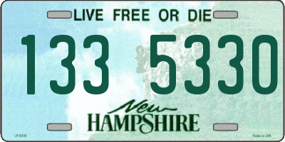 NH license plate 1335330