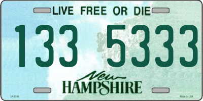 NH license plate 1335333