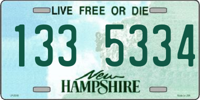 NH license plate 1335334