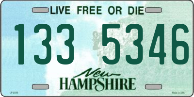 NH license plate 1335346