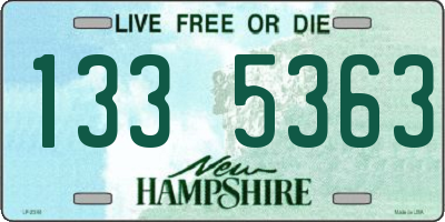 NH license plate 1335363