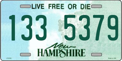NH license plate 1335379