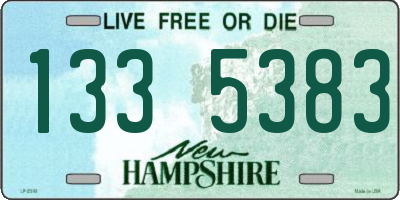 NH license plate 1335383