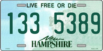 NH license plate 1335389
